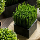 Faux Grass in Black Pot by RusticReach