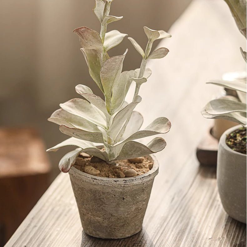 Realistic Green Plant in Ceramic Pot, photo 3 of 7