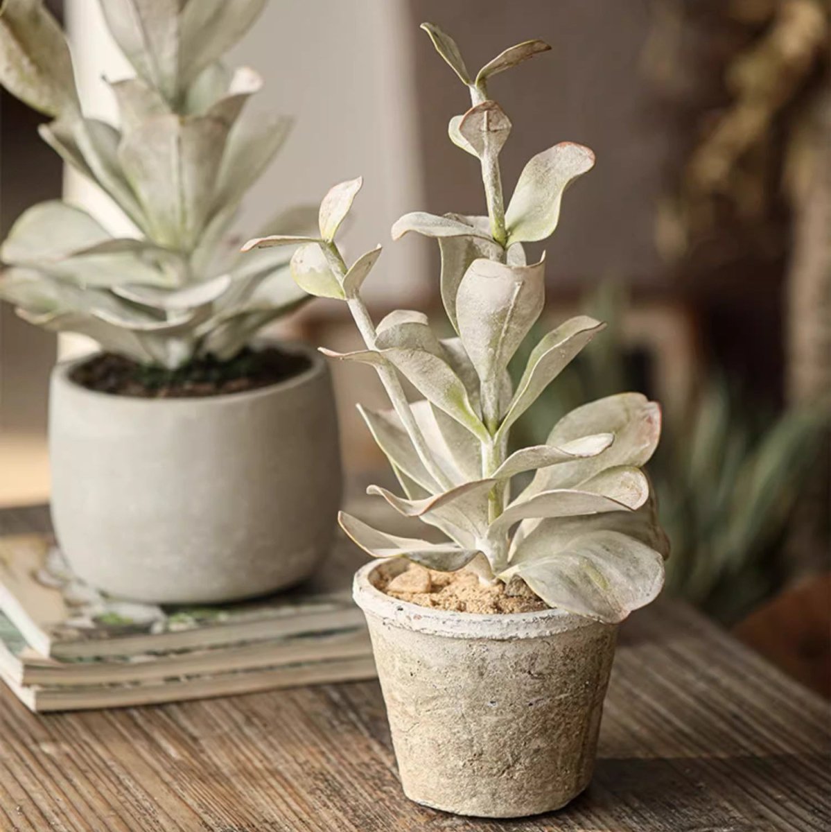 Realistic Green Plant in Ceramic Pot, photo 5 of 7
