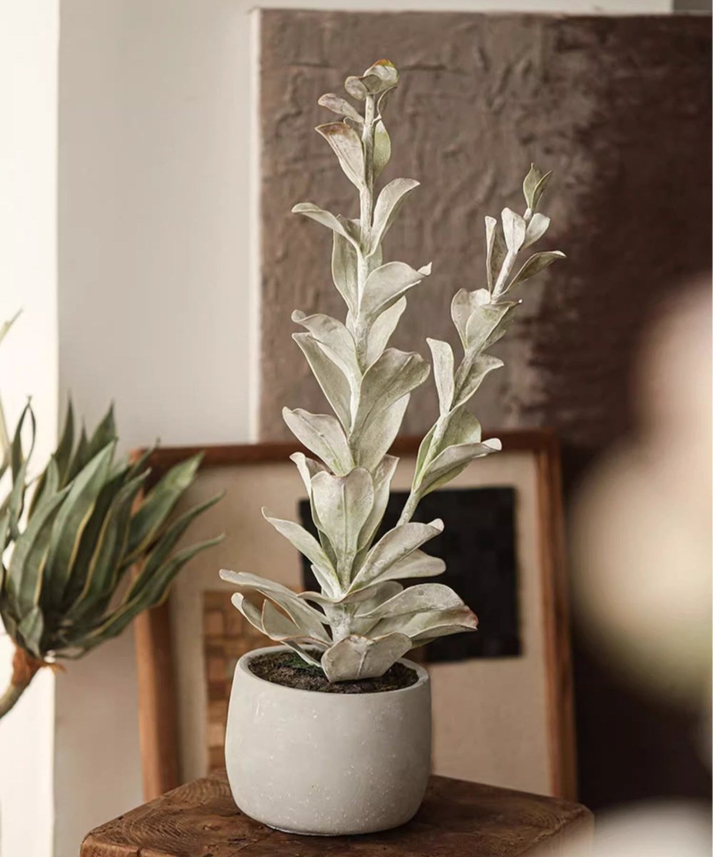 Realistic Green Plant in Ceramic Pot, photo 6 of 7