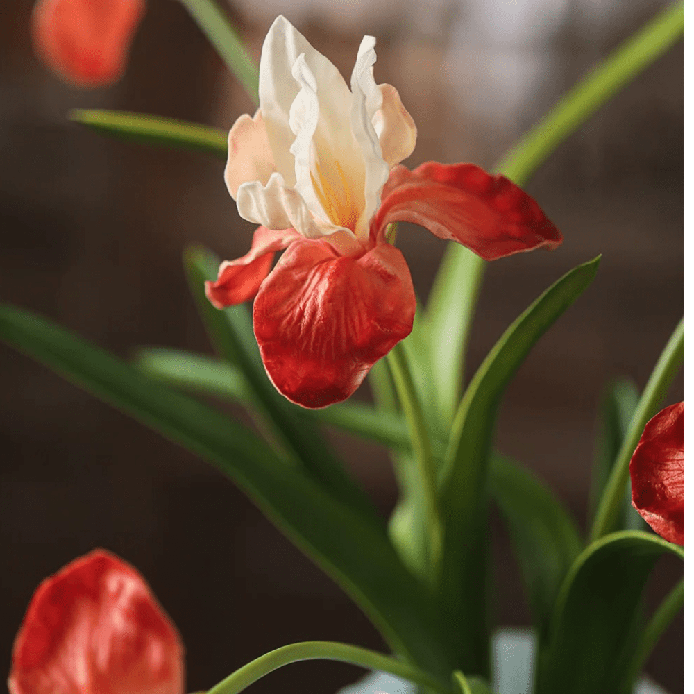 Silk Iris Flower 22" Tall, photo 6 of 11
