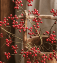 Mini Fruit Berry Stem 30" Tall