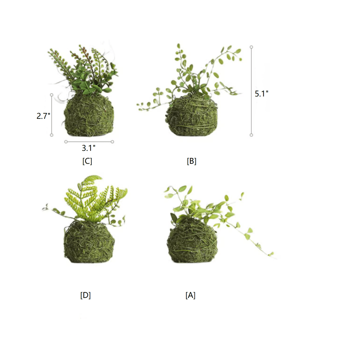 Mossy Meadow Foam Ball, photo 10 of 10