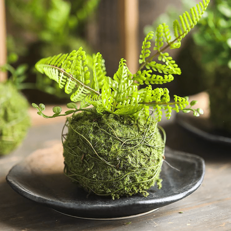 Mossy Meadow Foam Ball, photo 8 of 10