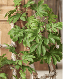 Artificial Octagonal Foliage Branch 37.4" Tall
