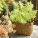 Faux Pine Leaf Stem 17.7" Tall