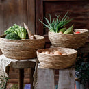 Seagrass Bowl Basket for Storage or Display