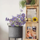 Summer Chrysanthemum Flower Stem in Purple 23.6" Tall