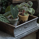 Rustic Wood and Metal Garden Tray Planter