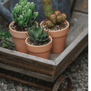Small Decorative Wooden Wagon Flower Cart