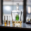 Tequila Decanter Tequila Glasses Set with Agave Decanter and 6 Agave Shot Glass
