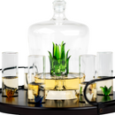 Tequila Decanter Tequila Glasses Set with Agave Decanter and 6 Agave Shot Glass