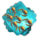Crab Lotta Crabs Foam Coasters Set of 4 Cup Coasters for Indoor Outdoor, Tabletop Protection, Anti Slip, Mouse pad Material