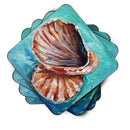 Shells not in a row Foam Coasters Set of 4 Cup Coasters for Indoor Outdoor, Tabletop Protection, Anti Slip, Mouse pad Material