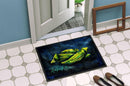 Okra Bleu Doormat Indoor Outdoor 24H X 36W Front Door Mat Rugs for Entryway, Non Slip Washable Low Pile,