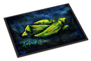 Okra Bleu Doormat Indoor Outdoor 24H X 36W Front Door Mat Rugs for Entryway, Non Slip Washable Low Pile,