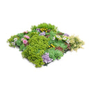 Dense Succulent Artificial Vertical Garden Green Wall Panel 20×20in – UV Resistant – Commercial Grade by Designer Plants USA