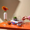 Eden Mini Terrarium Clear with Moulded Concrete Base by NUDE USA