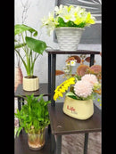 5-Tier Metal Plant Stand with Wheels, Rolling Indoor Outdoor Planter Shelf