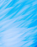 Blue Feather Angel Wings Chalk Art Mural.