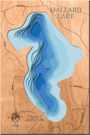 Mallard (Burnett)