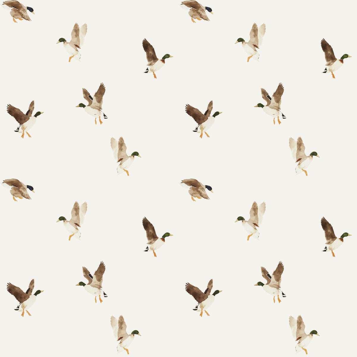 Melvin Wallpaper, photo 6 of 6