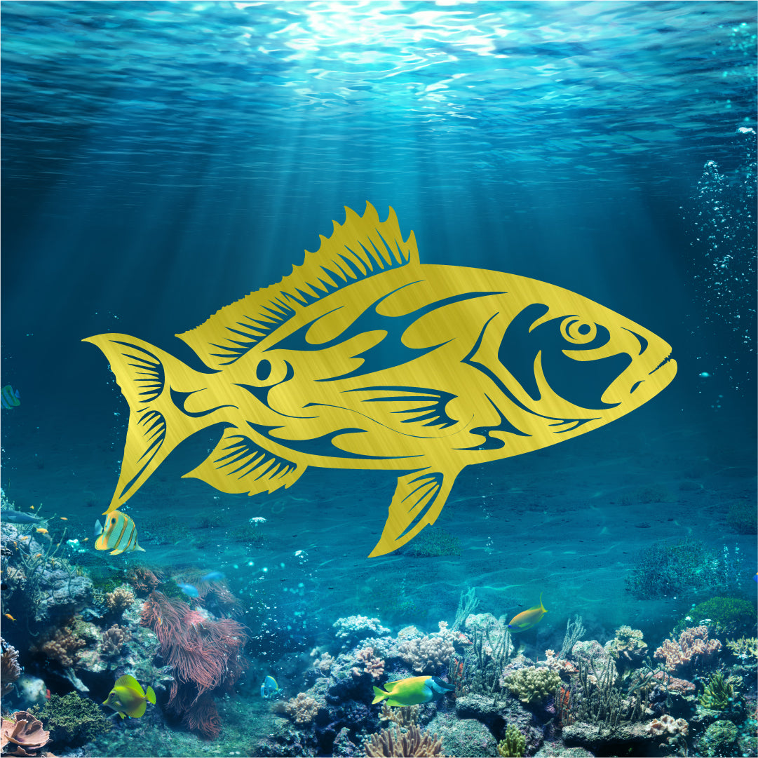 Mangrove Snapper, photo 2 of 7