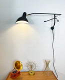 Spiral Mantis Arm Wall Lamp