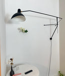 Spiral Mantis Arm Wall Lamp