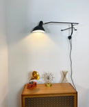 Spiral Mantis Arm Wall Lamp