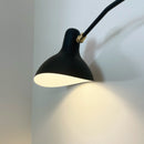 Spiral Mantis Arm Wall Lamp