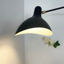 Spiral Mantis Arm Wall Lamp