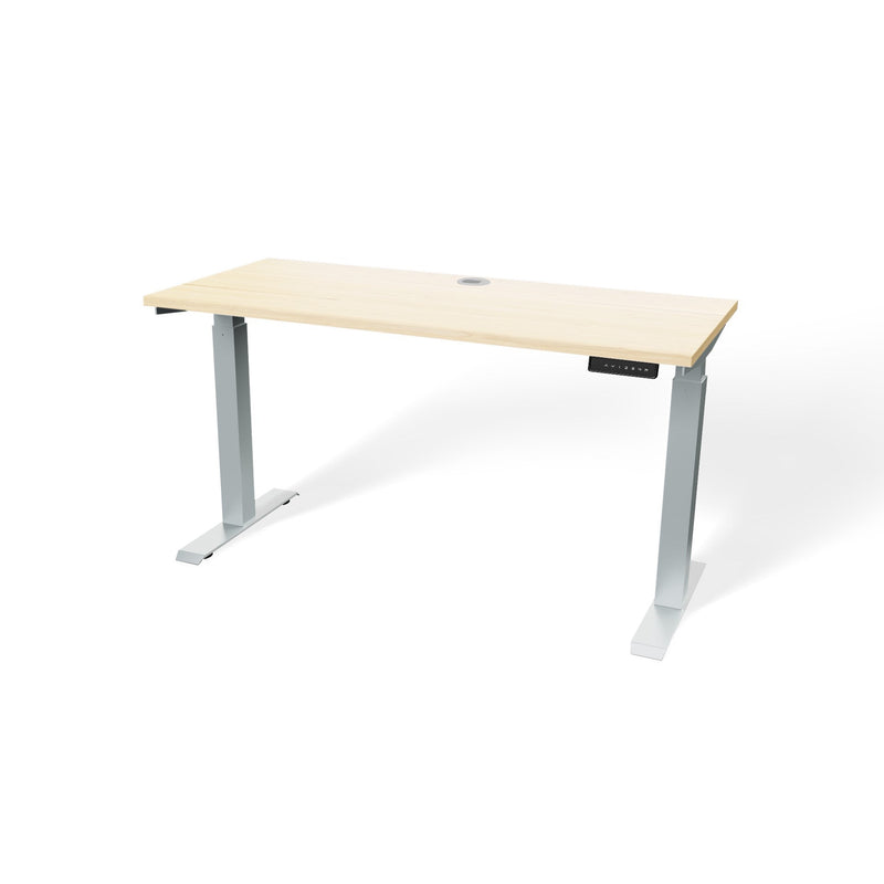 Atlas 54" Electric & Adjustable Stand-Up Computer Desk