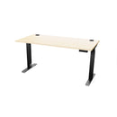 Atlas 66" Sit Stand Office Desk