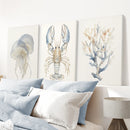 Ocean Animal Prints. Jellyfish, Lobster, Corals Wall Art by Wall Art Set
