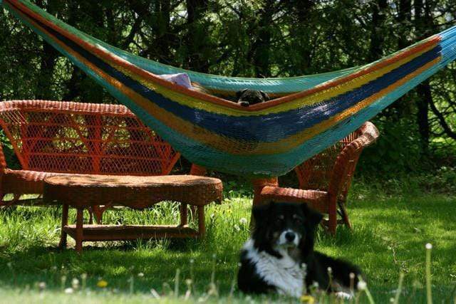 Mayan Hammock - XL Family-sized Thick Cord