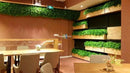 Sample Panel – Lush Fern Green Wall (Small Sample) by Designer Plants USA