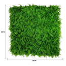 Sample Panel – Lush Fern Green Wall (Small Sample) by Designer Plants USA