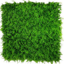 Sample Panel – Lush Fern Green Wall (Small Sample) by Designer Plants USA