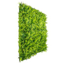 Sample Panel – Lush Fern Green Wall (Small Sample) by Designer Plants USA