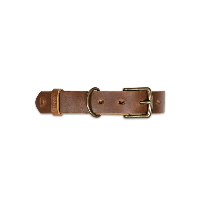 The Dog Collar