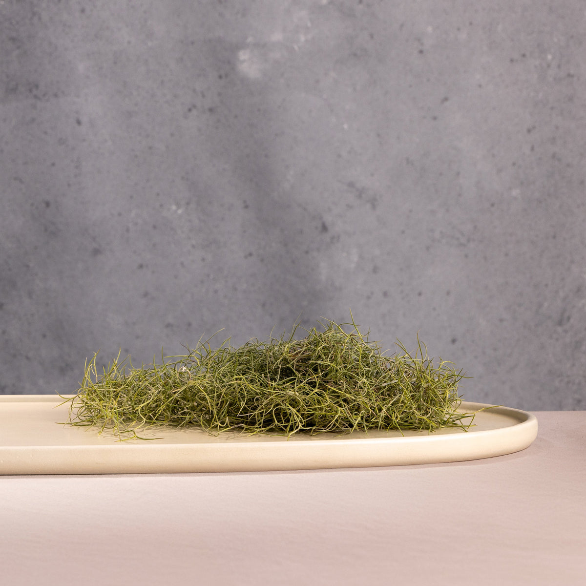 Mesa Oval Platter, photo 14 of 15