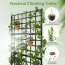 Metal Raised Garden Bed with Trellis and Drainage Holes for Climbing Plants by LJGDeals