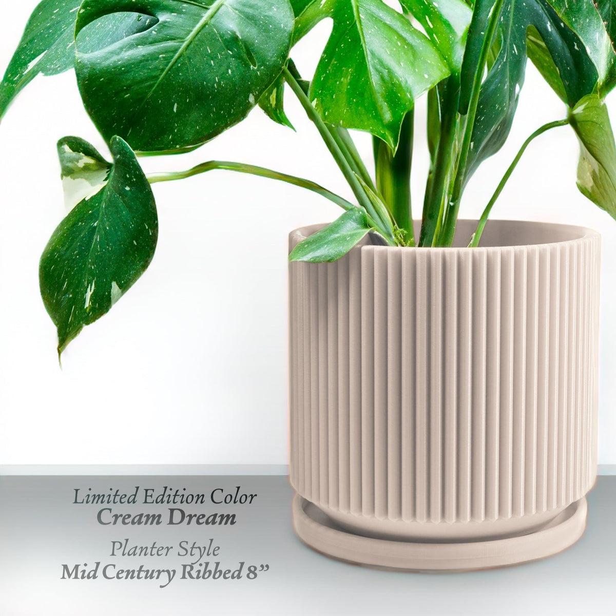Mid-Century Ribbed Planter, photo 6 of 18