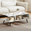 Mid Century Modern Rectangle Coffee Table 2-Tier Accent Table with 2 Open Compartments by LJGDeals