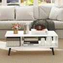 Mid Century Modern Rectangle Coffee Table 2-Tier Accent Table with 2 Open Compartments by LJGDeals