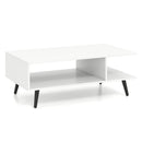 Mid Century Modern Rectangle Coffee Table 2-Tier Accent Table with 2 Open Compartments by LJGDeals
