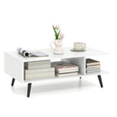 Mid Century Modern Rectangle Coffee Table 2-Tier Accent Table with 2 Open Compartments by LJGDeals
