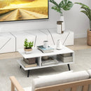 Mid Century Modern Rectangle Coffee Table 2-Tier Accent Table with 2 Open Compartments by LJGDeals