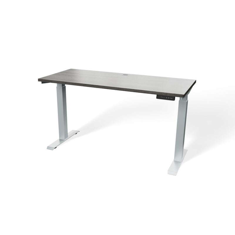 Atlas 54" Electric & Adjustable Stand-Up Computer Desk